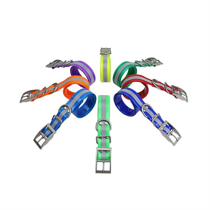 רצועת צווארון כלב צייד פרימיום TR-כלב